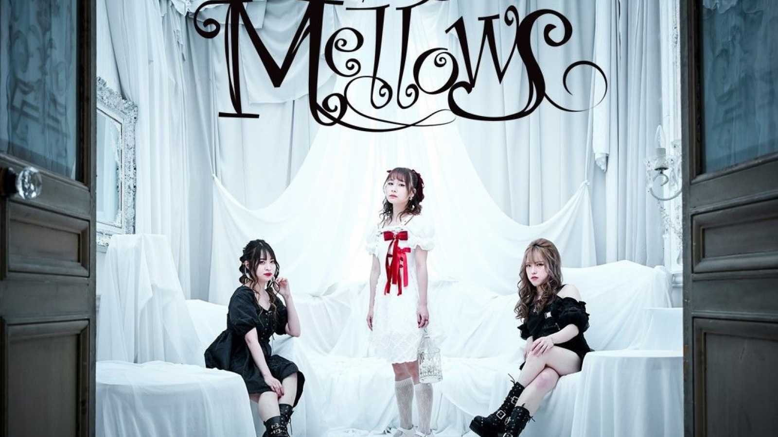 Novo álbum da Mellows © Mellows. MASHUP RECORDS. All rights reserved.
