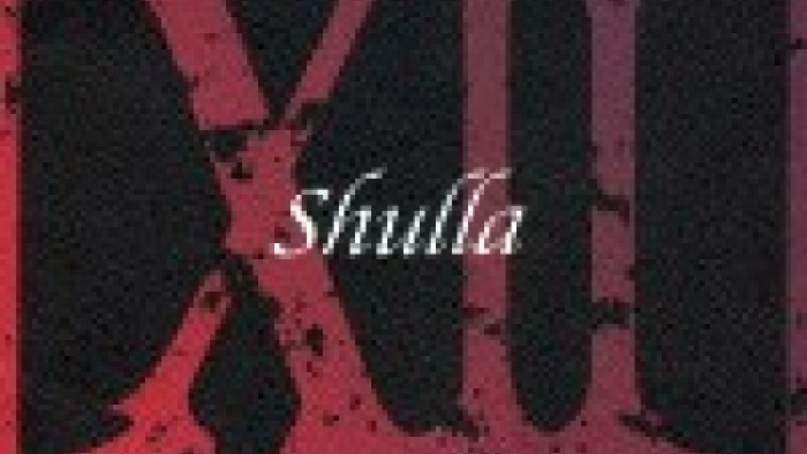 Pierwszy pełny album Shulli © Free-Will
