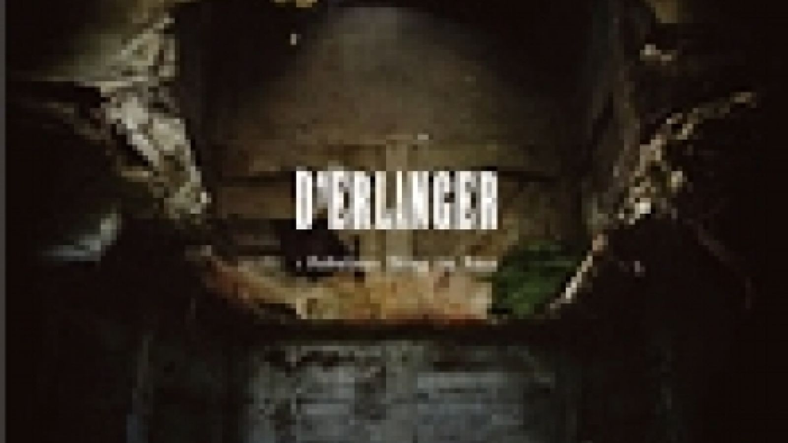 Nowy album D'ERLANGER © 